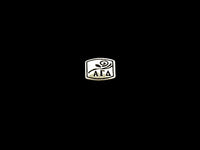 Alpha Gamma Delta Logo Letter Greek Sorority Bead European Big Hole Bead
